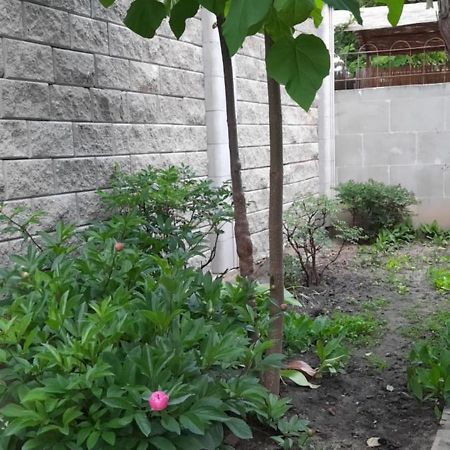 Guest House Odesa Room photo