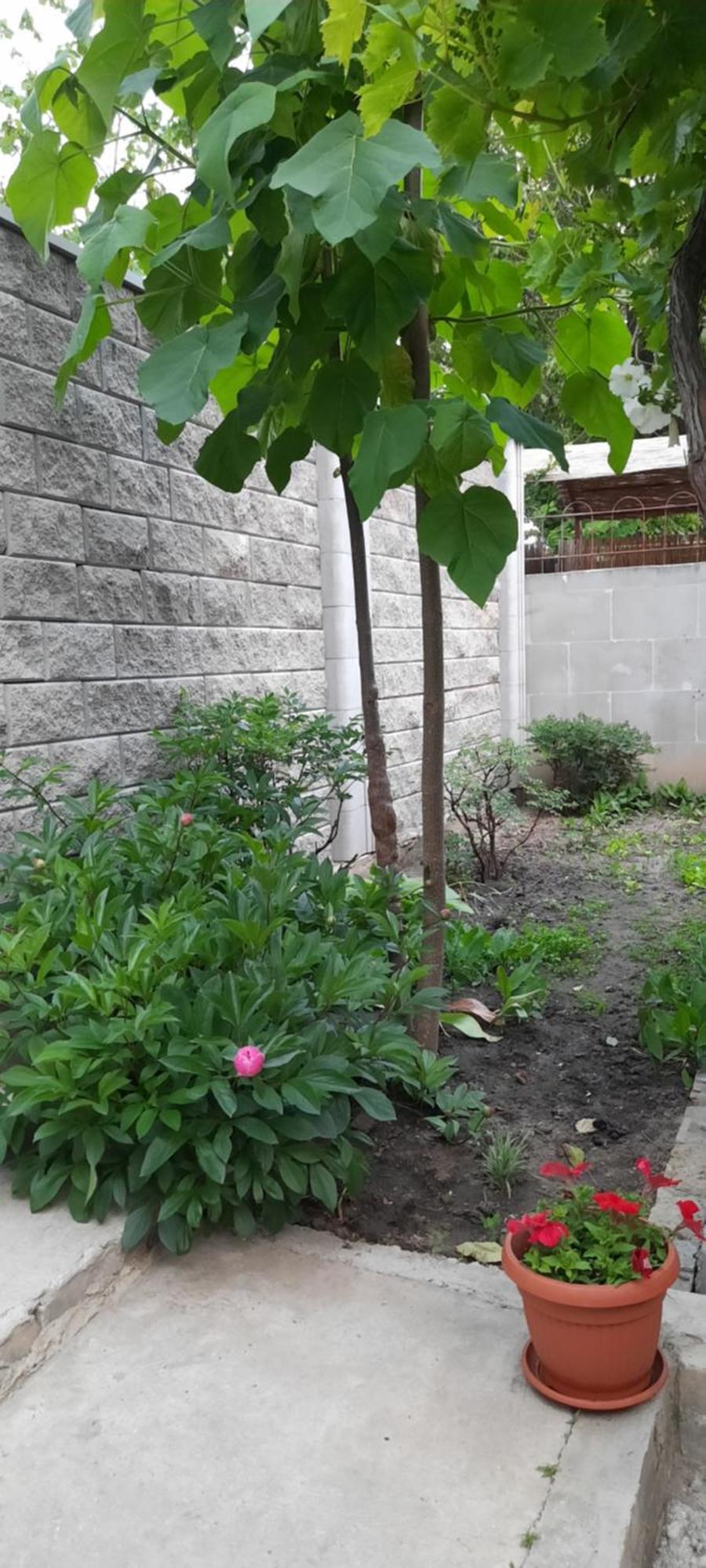 Guest House Odesa Room photo